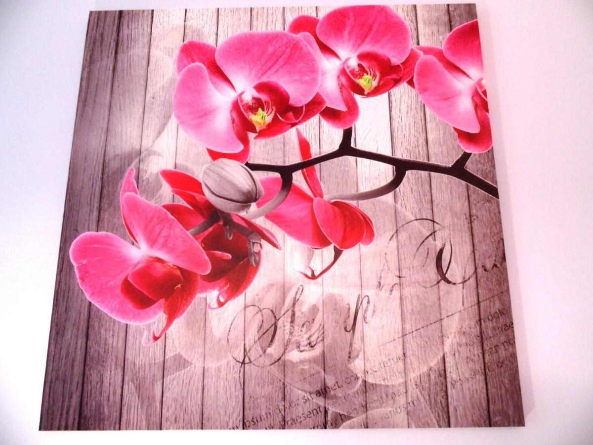 Apartament Orchidea คราคูฟ ภายนอก รูปภาพ